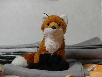 Unnamed 2 (Red Fox, Wild Republic)